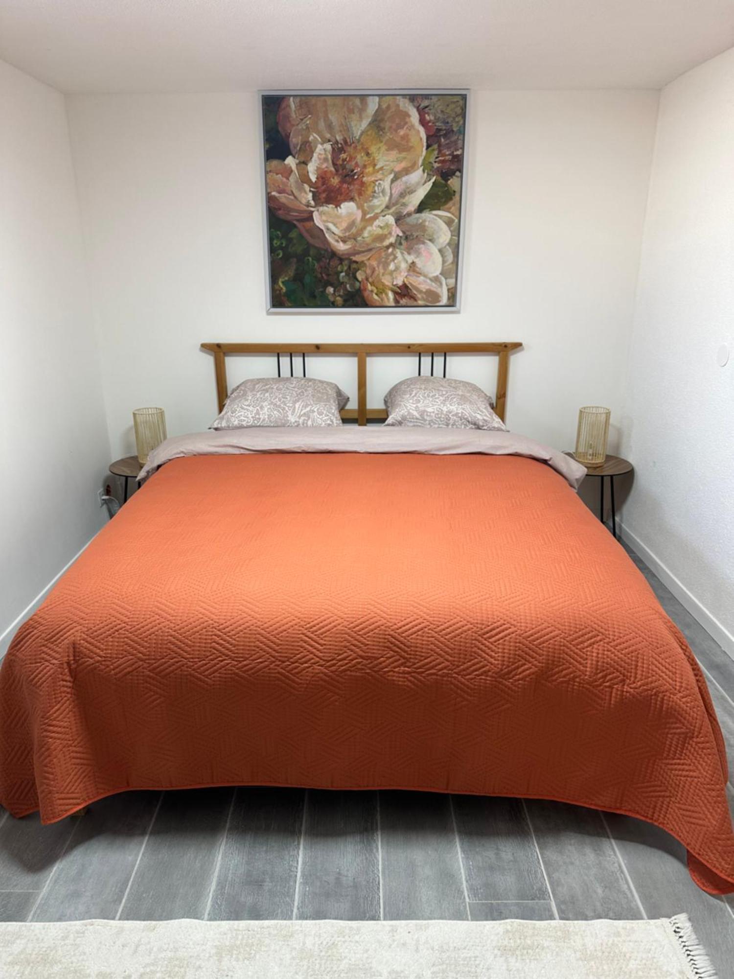 Appartement Les Mirabelles à Ensisheim Extérieur photo