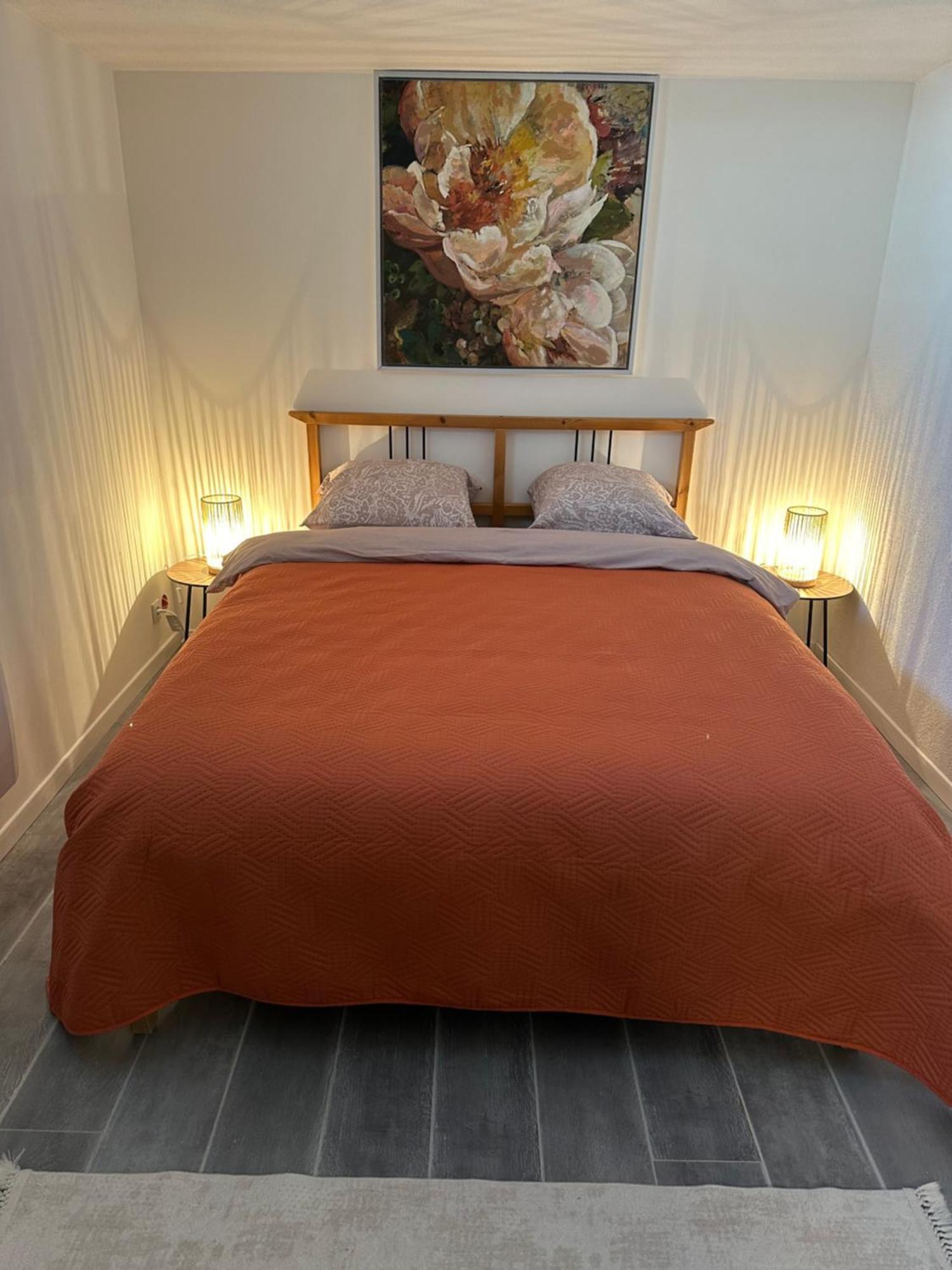 Appartement Les Mirabelles à Ensisheim Extérieur photo
